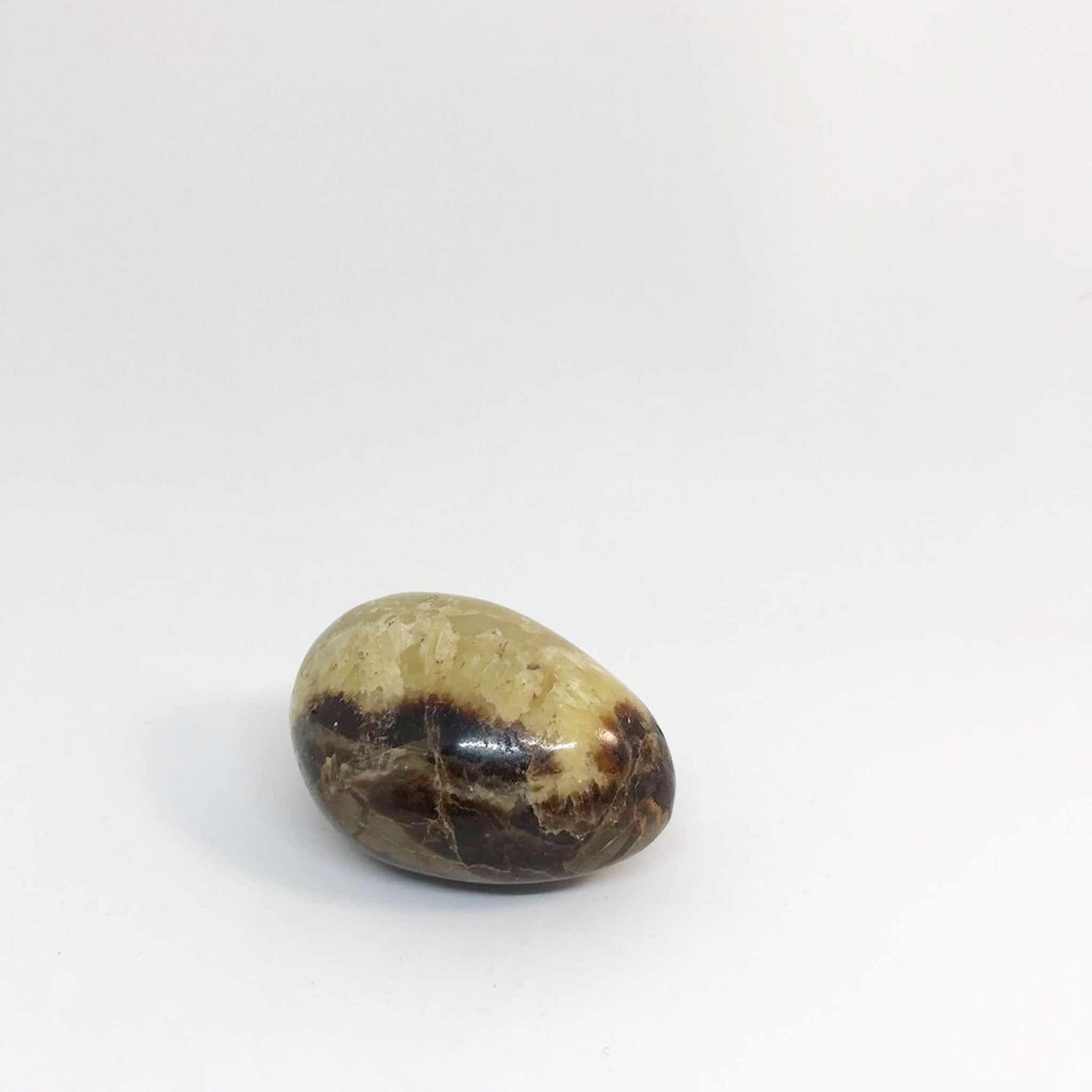 Septarie Egg